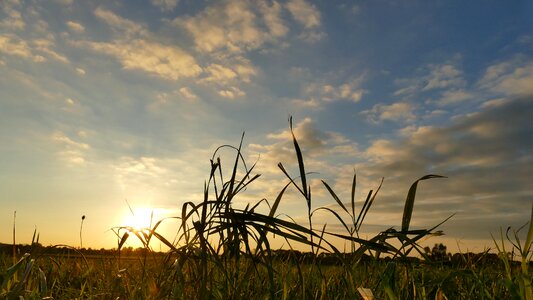 Mood golden autumn landscape photo