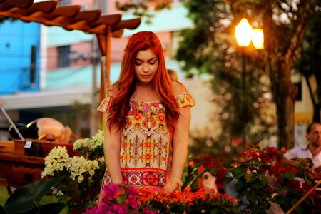 Colorful flowers plant
