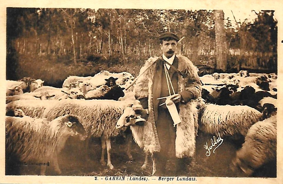Garein (Landes) - Berger landais