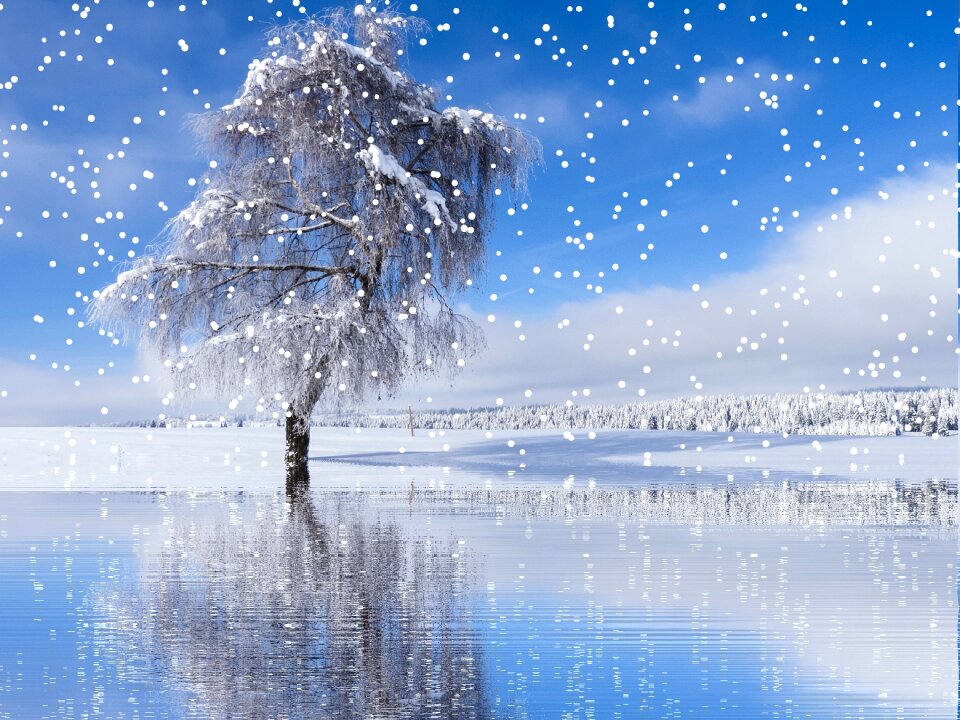 Wintry cold christmas
