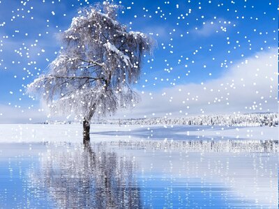 Wintry cold christmas