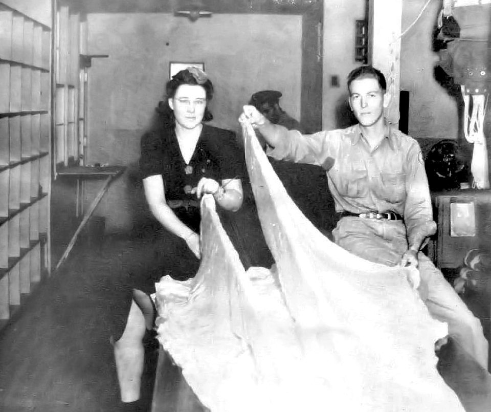 Garner Field - Parachute Shop