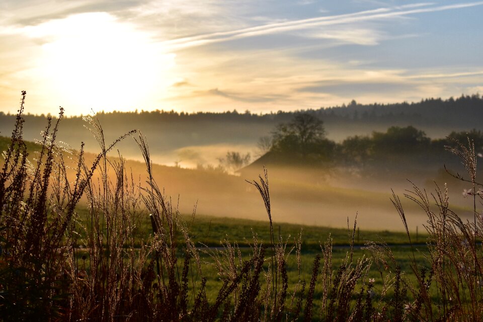 Backlighting nature mood photo