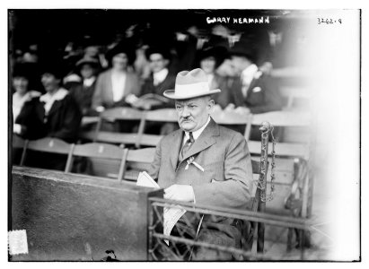 Garry Herrmann, owner, Cincinnati Reds (baseball) LCCN2014697801