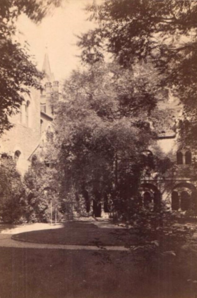 Garten im Kloster Unser Lieben Frauen Magdeburg