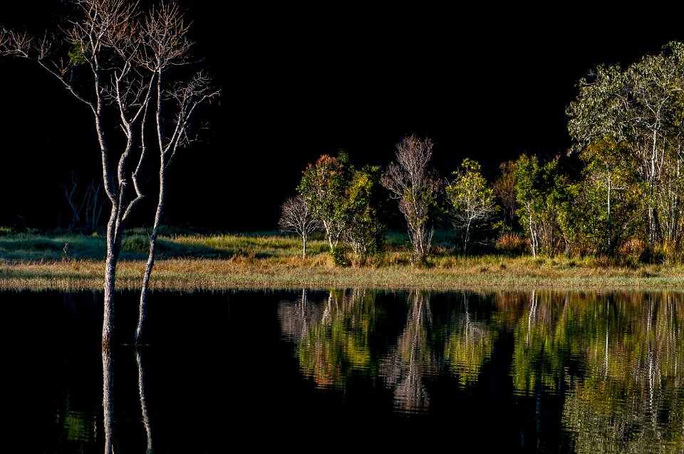 Reflect natural light