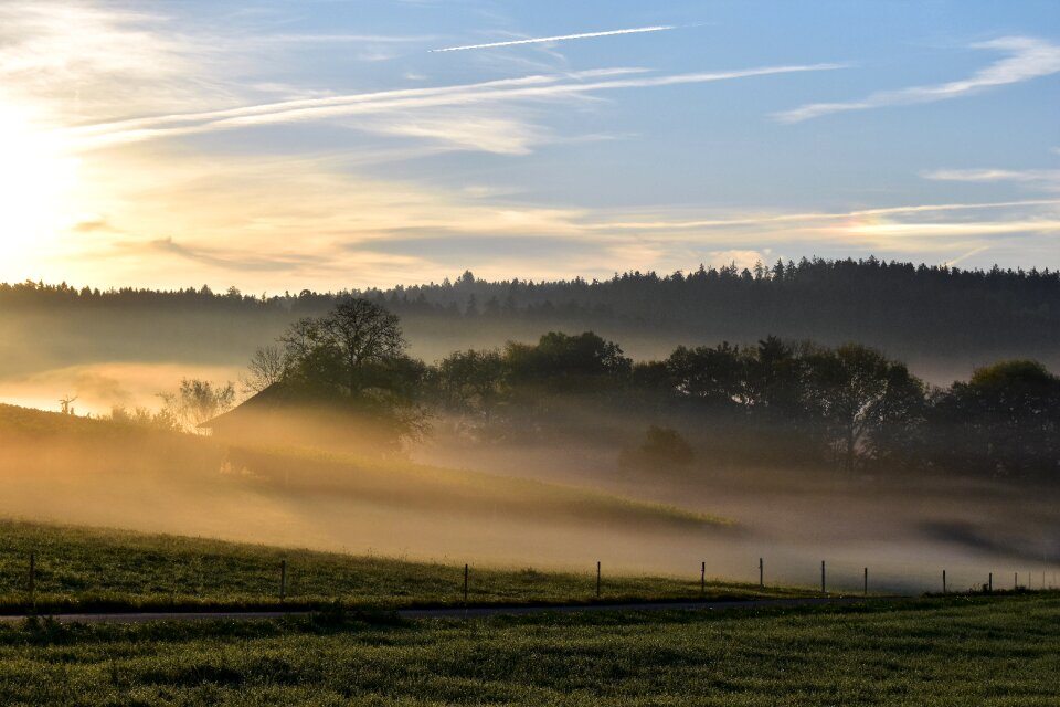 Backlighting nature mood photo