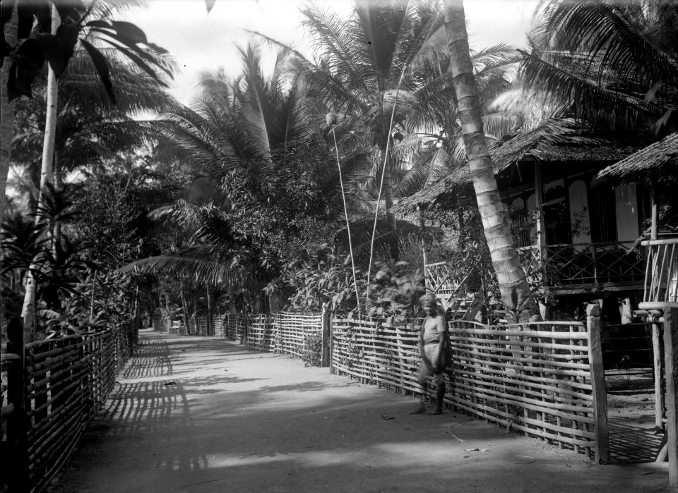 Gata i Banggaai med härlig växtlighet. Banggaai. Indonesien - SMVK - 022181