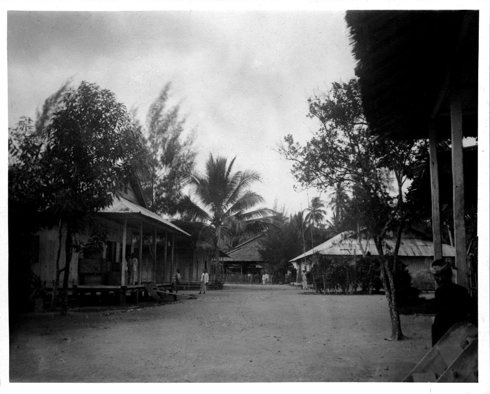Gata i Banggaai, nordöstra Celebes. Banggaai, Kabupaten Banggai, Sulawesi. Indonesien - SMVK - 000182