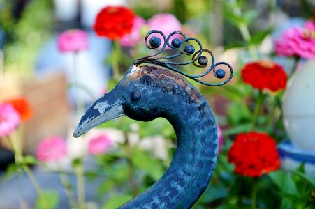 Decoration decorative bird