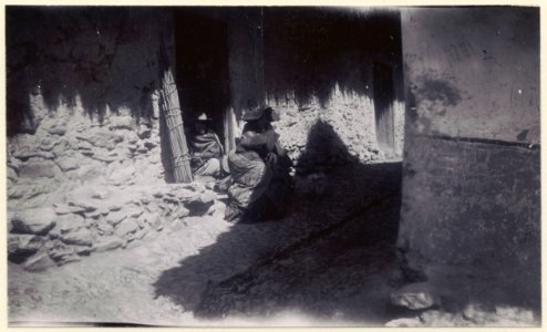 Gatumotiv. Sydamerika. Bolivia - SMVK - 0249.d.0075