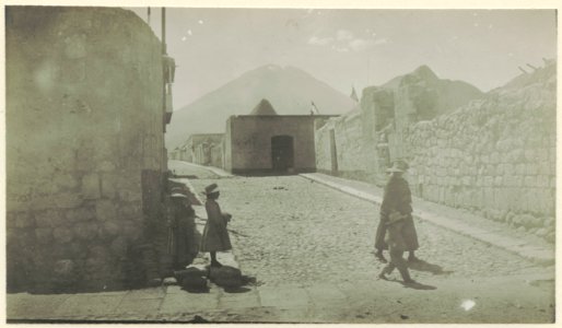 Gatumotiv. Sydamerika. Bolivia - SMVK - 0249.d.0085