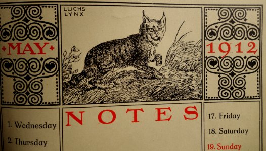 Gaudig & Blum, Leipzig, 1912 Jubilee Almanac (08) Luchs, Lynx