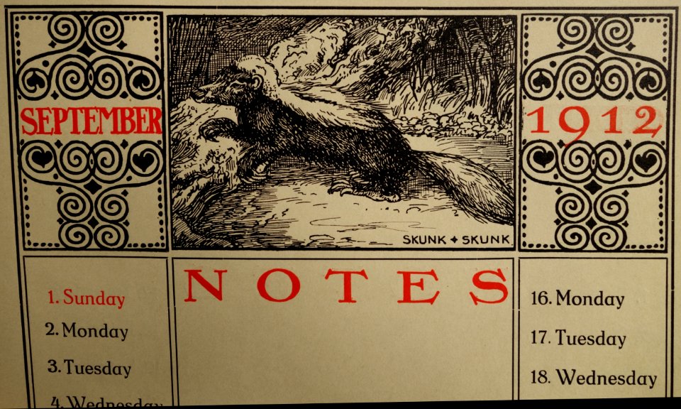 Gaudig & Blum, Leipzig, 1912 Jubilee Almanac (12) Skunk