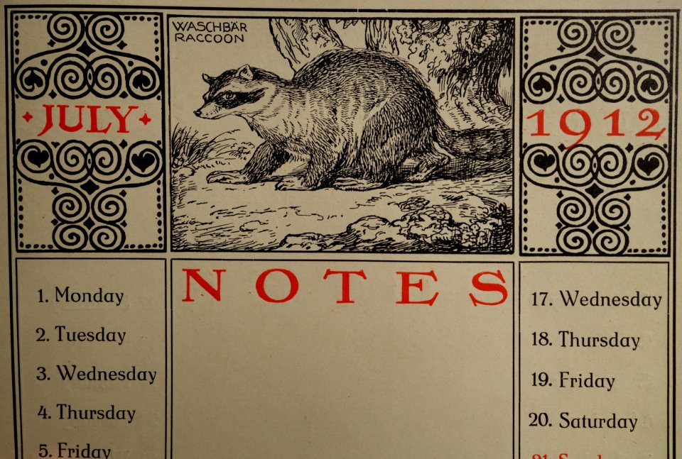 Gaudig & Blum, Leipzig, 1912 Jubilee Almanac (10) Waschbär, Raccoon