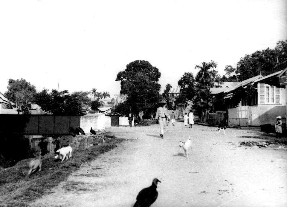 Gatuscen. Port of Spain. Trinidad och Tobago - SMVK - 002431