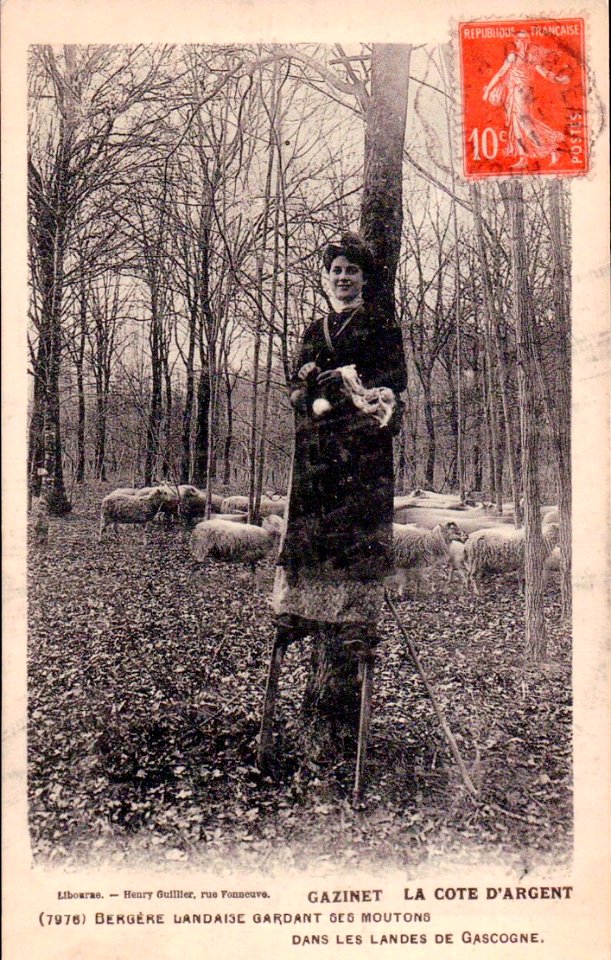 Gazinet - Bergère landaise 2