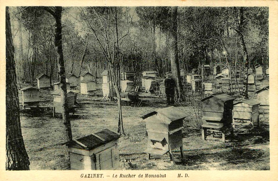 Gazinet - Rucherie de Monsalut 4