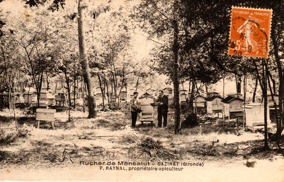 Gazinet - Rucherie de Monsalut 2