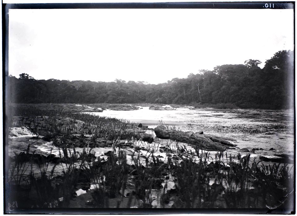 Gebied rond versnelling in het stroomgebied van de Tapanahoni-rivier