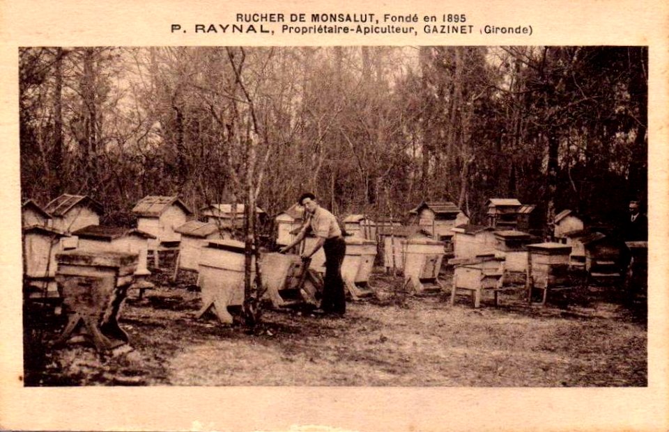 Gazinet - Rucherie de Monsalut 1