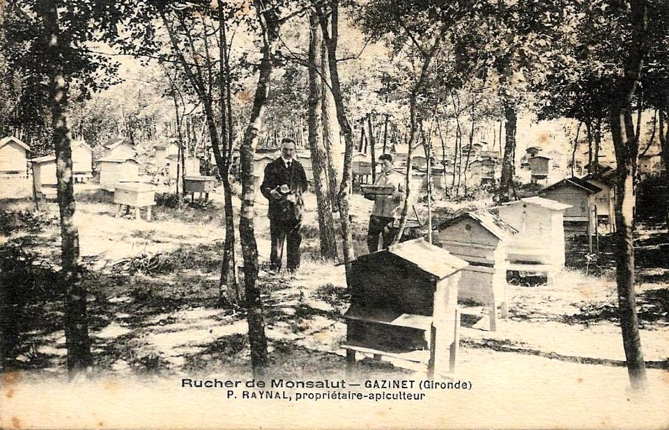 Gazinet - Rucherie de Monsalut 3