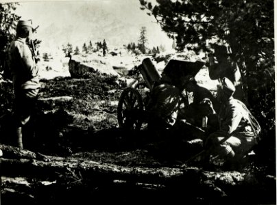 Gebirgshaubitze Bambestaplateau (BildID 15424694)