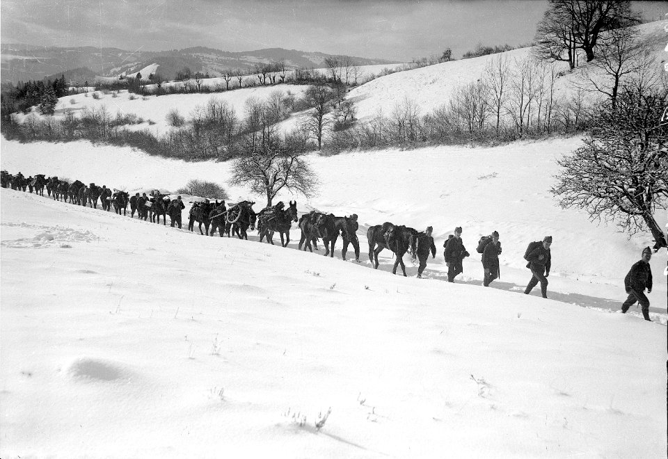 Gebirgsartillerie auf dem Marsch - CH-BAR - 3236846