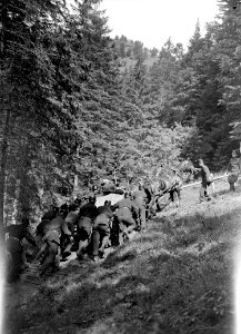 Gebirgswagen in steilem Gelände - CH-BAR - 3238703