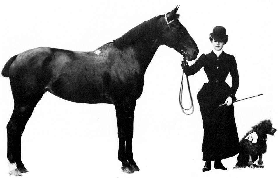 Gebrüder Alinari - Dame mit Pferd und Hund (Zeno Fotografie)