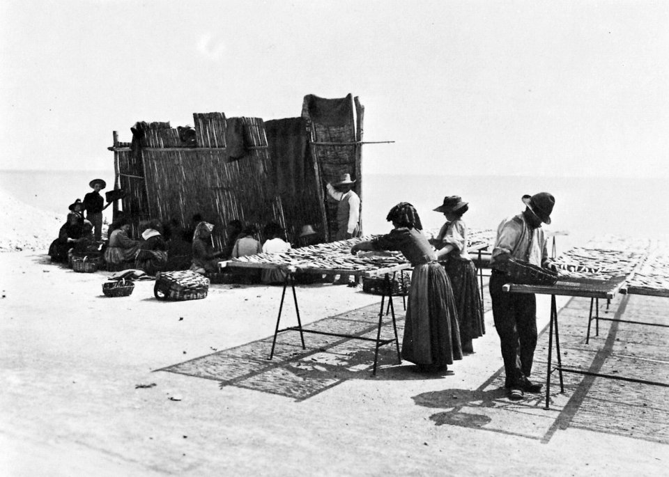 Gebrüder Alinari - Fischverarbeitung in der Nähe von Genua (Zeno Fotografie)