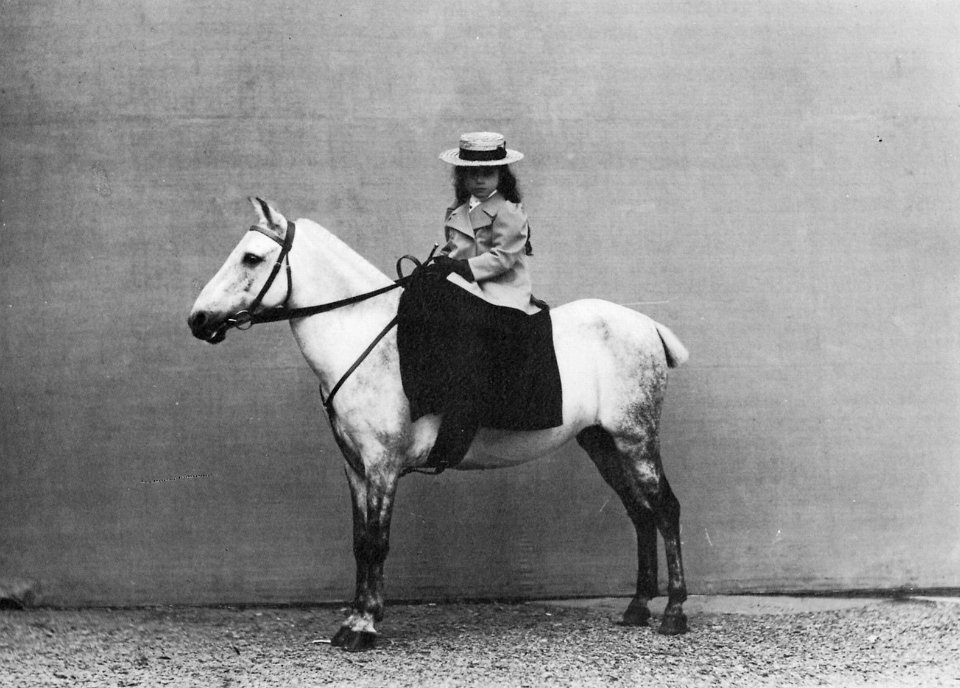Gebrüder Alinari - Mädchen auf einem Pferd (Zeno Fotografie)