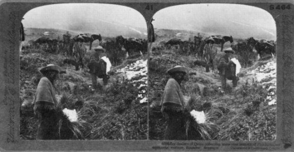 Gebrüder Underwood - Eisverkäufer aus Quito sammeln Schnee auf dem Pichincha, um Eiscreme zu machen (Zeno Fotografie)