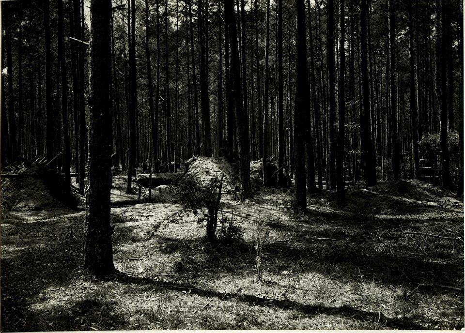 Gedeckte Offiziersunterstände des Infanterieregimens Nr. 62 im Wald östlich Janòw. (BildID 15589134)