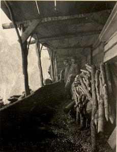 Gedeckter Laufgraben vom Cellon zur unteren Seilbahnstation, elektrisch beleuchtet vom Elektrozug 99-32 LL, aufgenommen am 30. April 1916 (BildID 15473773)