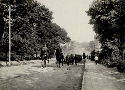 Gefangene Russen aus den Kämpfen auf der Höhe Worobijowka, eingebracht am 1. Juli durch das k.u.k. Infanterieregiment 6 (BildID 15542380)