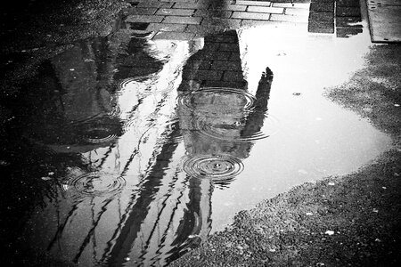 Mirroring wet weather photo
