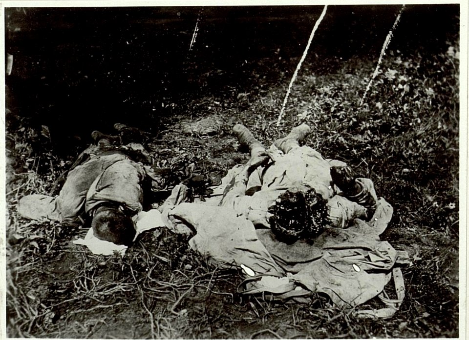Gefallene Soldaten (BildID 15463878)