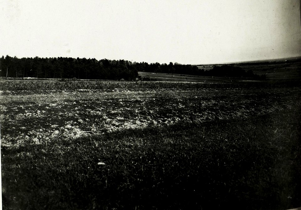 Gefechtsfeld bei Bolechow. (BildID 15591286)