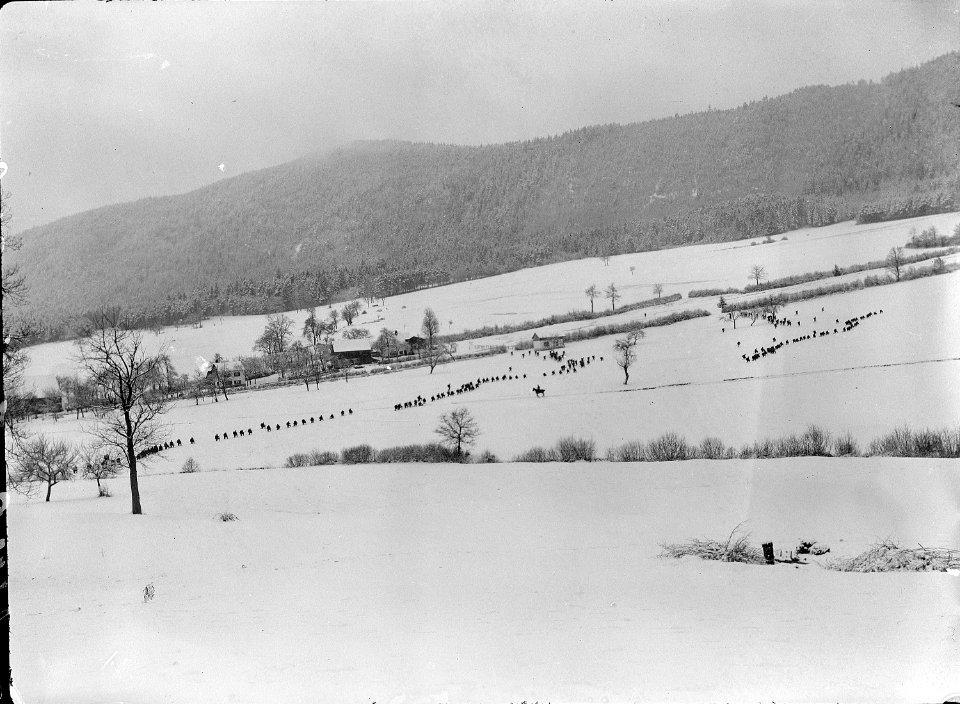 Gefechtsübung der Infanterie - CH-BAR - 3236694