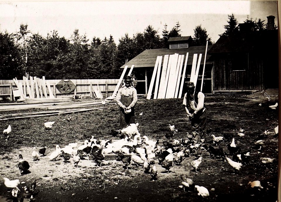 Geflügelhof (BildID 15494928)