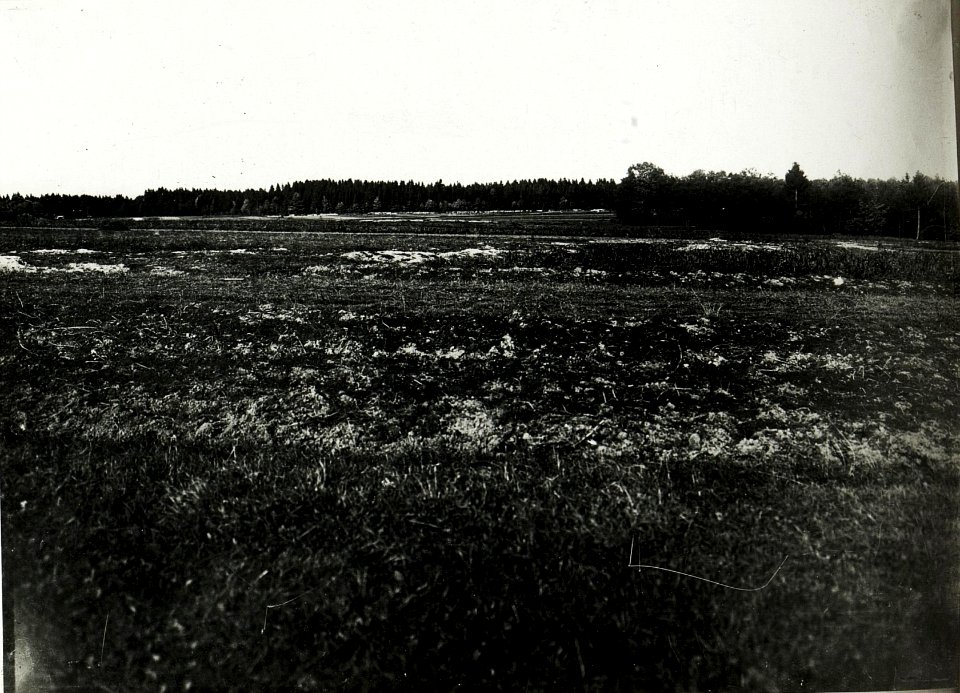 Gefechtsfeld bei Bolechow. (BildID 15591279)