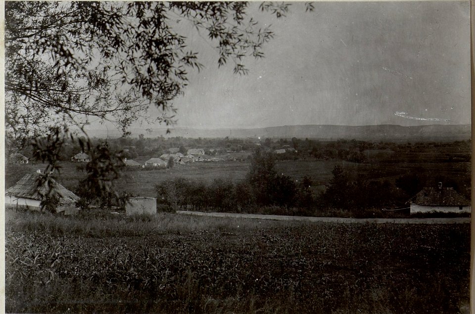 Gefechtstrain in Bojan (BildID 15653767)