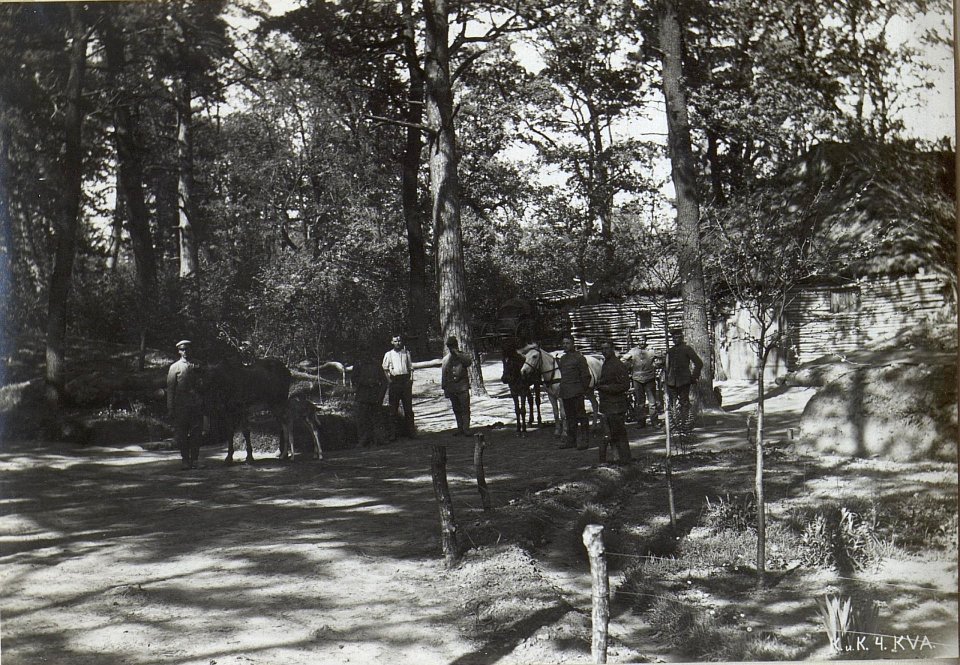 Gefechtslage J.R.97. Kolpitow (BildID 15694615)