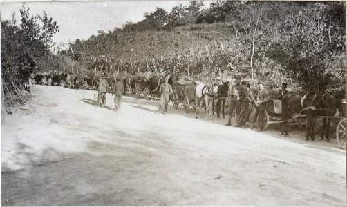 Gefechtstrain der Geb. Schützen I.6.9.17. (BildID 15601512)