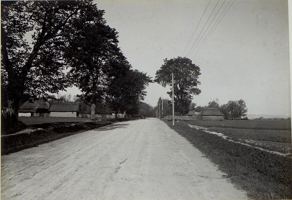 Gelände bei Kragla, westlich Narajow miasto. (BildID 15441999)