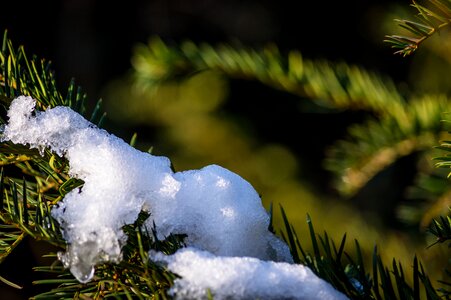 Melt melting christmas