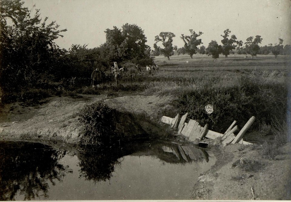 Gemüsegarten der Batterie in Jarkessegi (BildID 15546990)