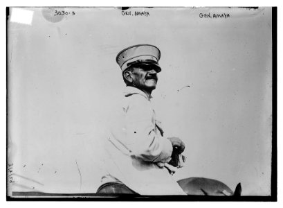 Gen. Amaya LCCN2014695780