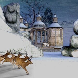 Rock fantasy snow